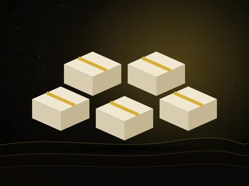 Packed meal boxes